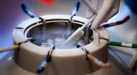 河北试管婴儿纳入医保真伪揭秘，试管生孩子的费用解析